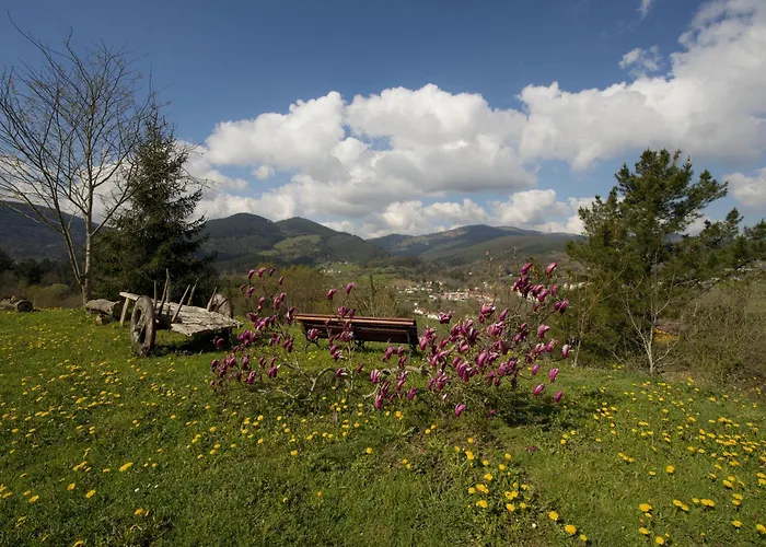 Vakantiehuis Bizkar Bare